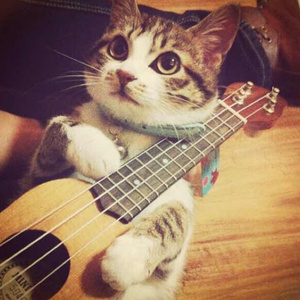 成人激情黄色小说
