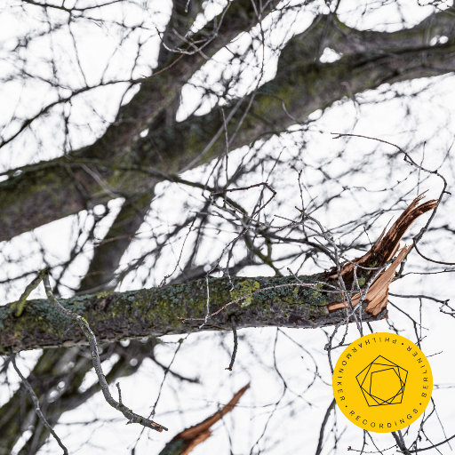 成人激情黄色小说
